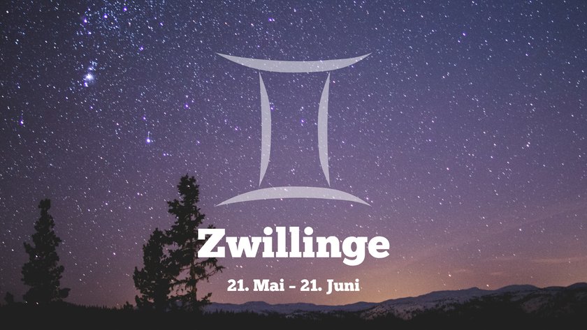 Zwillinge