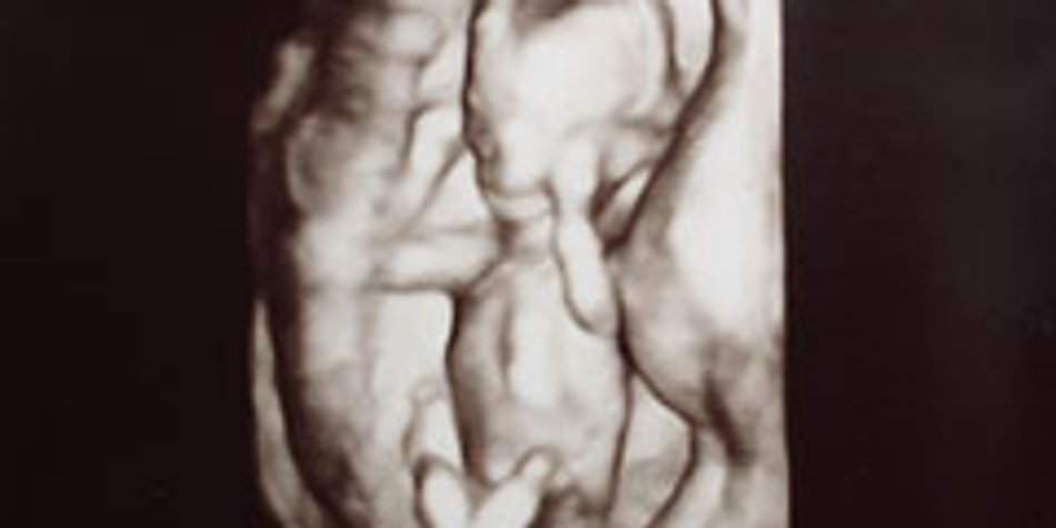Die 14. Woche schwanger: Wird es ein Junge?
