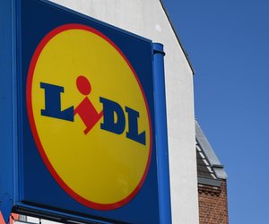 Mit diesen coolen Lidl-LED-Gartenspießen ist euer Haus bereit für Halloween