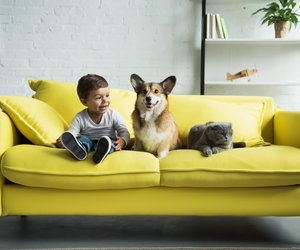 Kinderfreundliche Hunde: Diese Vierbeiner passen in euren Familienalltag