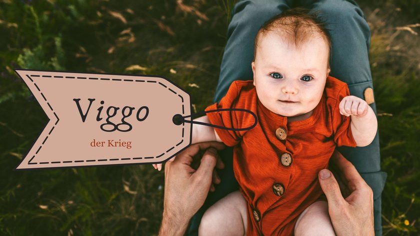 #7 Dänische Jungennamen: Viggo