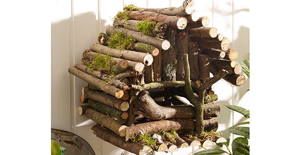 Vogelhaus Bauen Bauanleitung Fur Nistkasten Familie De