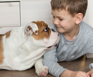 Psychotest: Welches Haustier passt am besten zu eurer Familie?
