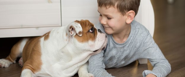 Psychotest: Welches Haustier passt am besten zu eurer Familie?