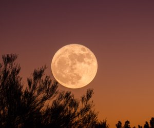 Was ist ein Mond? Wir beantworten die Frage kindgerecht