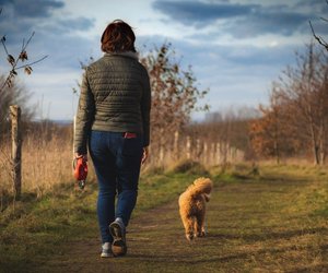 Jetzt bei Amazon günstiger: Schnappt euch den Tractive GPS Tracker für Hunde