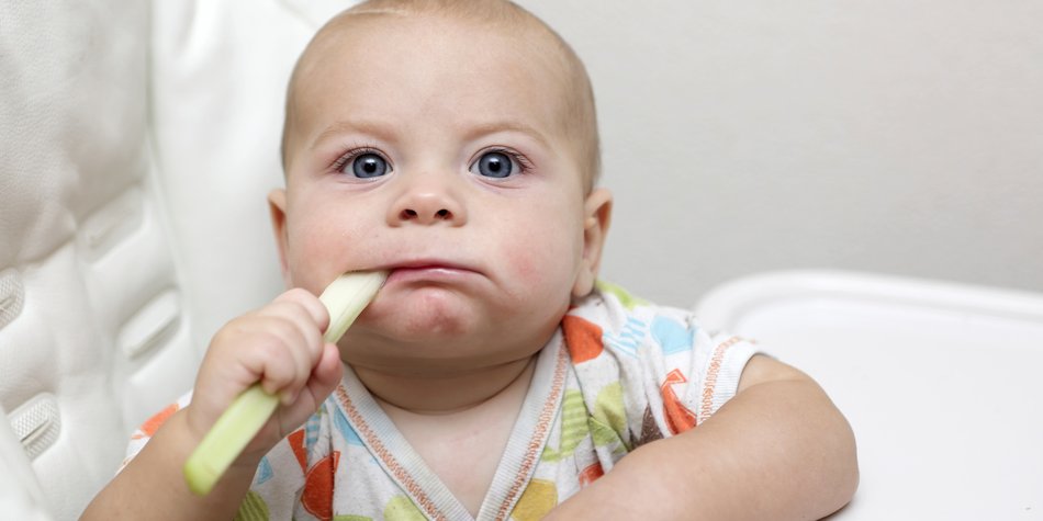 Sellerie fürs Baby: Geeignet oder tabu?