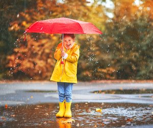 Regenschirme für Kinder: Sicherer Regenschutz mit diesen 5 Top-Modellen
