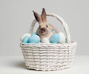 Osterbräuche für Kinder erklärt: Mama, warum kommt der Osterhase?