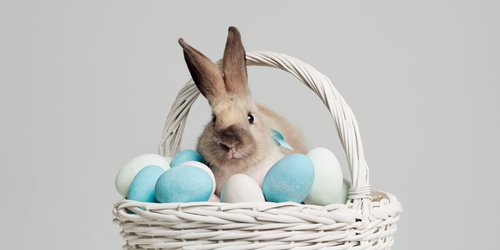 Osterbräuche für Kinder erklärt: Mama, warum kommt der Osterhase?