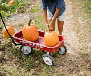 Kürbis roh essen: Ist das Fruchtgemüse ungekocht bekömmlich?