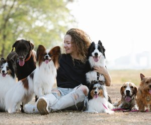 Wie oft Hund füttern: Dieser Abstand fördert die Gesundheit