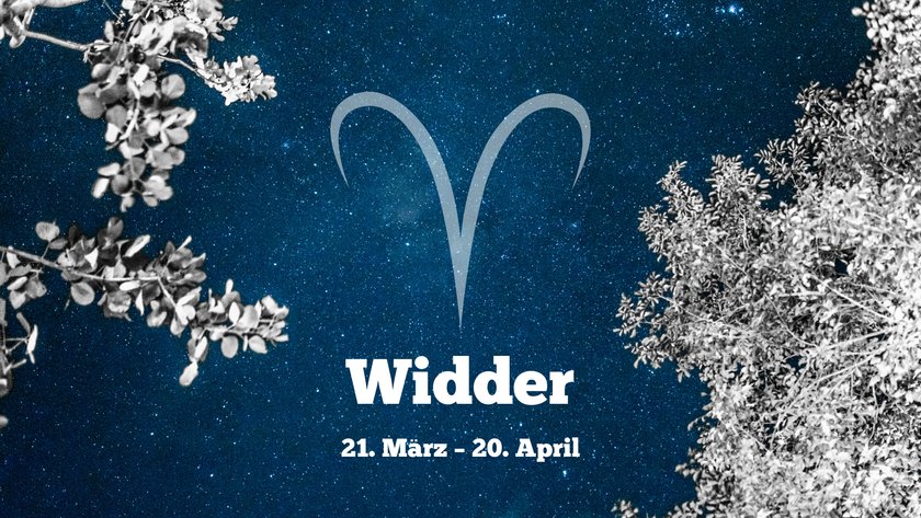 Widder