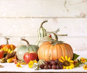 Süßes oder Saures: Mit dieser tollen DIY-Deko mit Kürbis und Blumen seid ihr bereit für Halloween