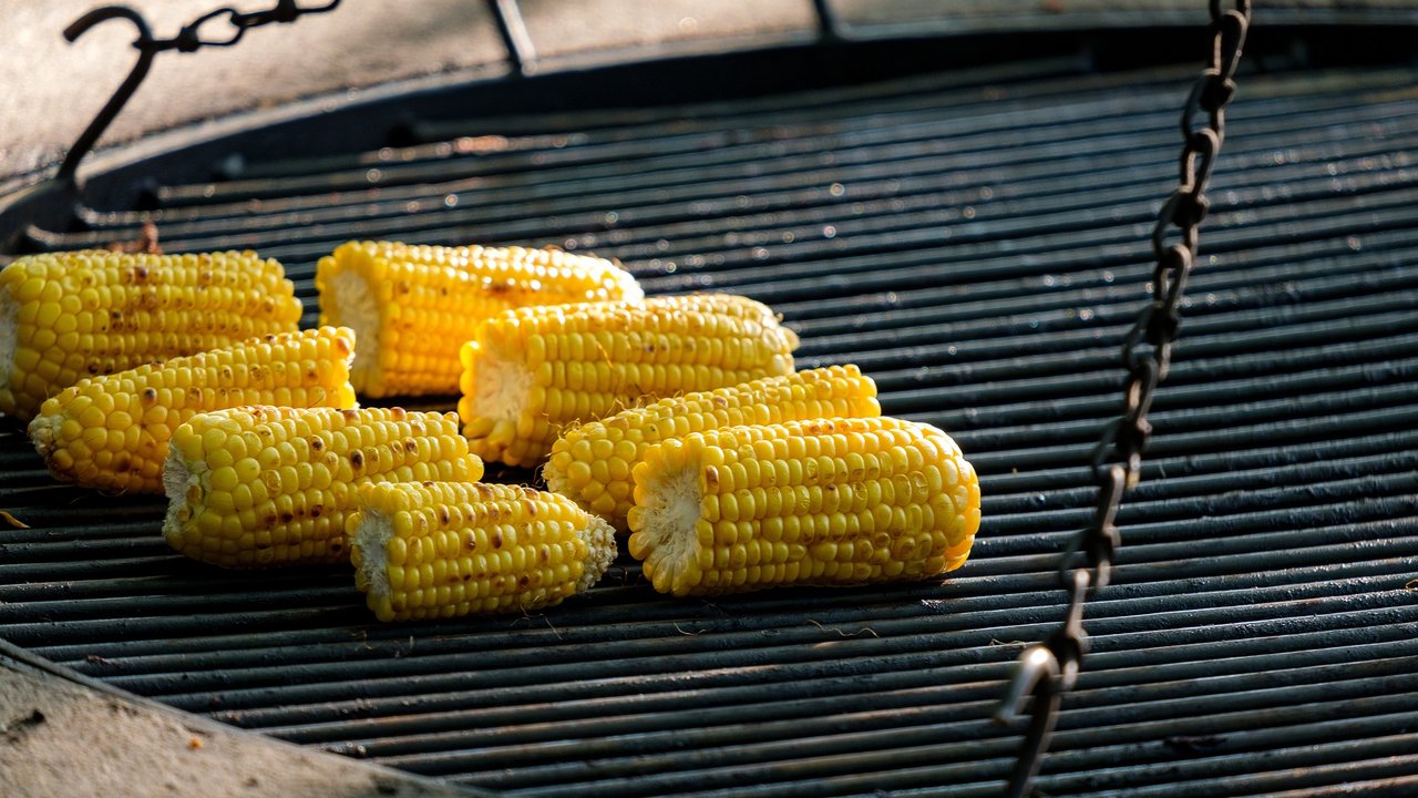 Kommen Maiskolben zerteilt auf den Grill, greift jeder gern zu. 