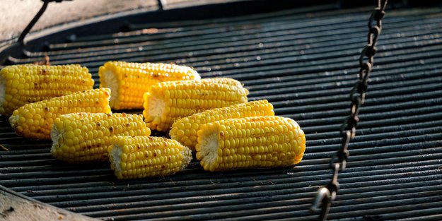 Maiskolben würzen: So schmecken sie richtig lecker 