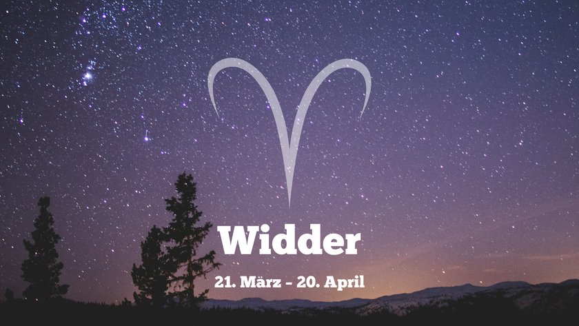 Widder