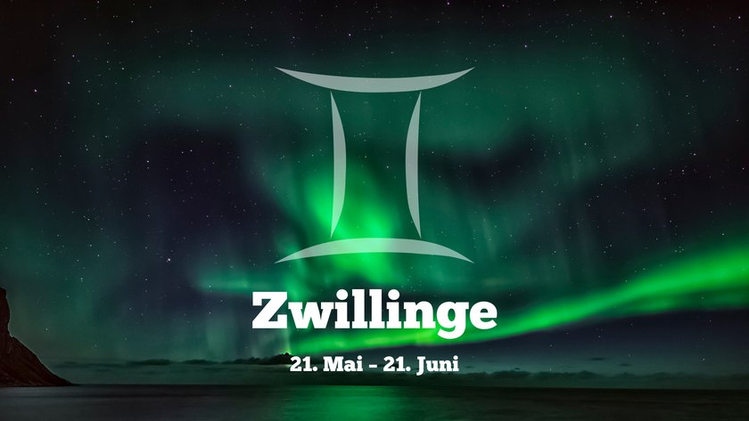 Zwillinge