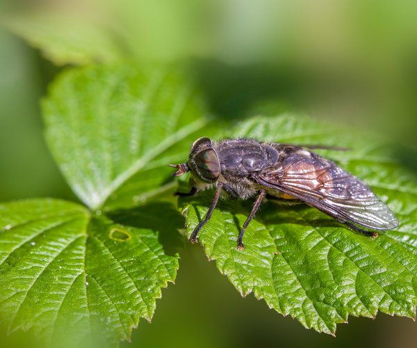 39 4 Ssw Stechen In Der Scheide Stechen in der Scheide: 7 mögliche Ursachen