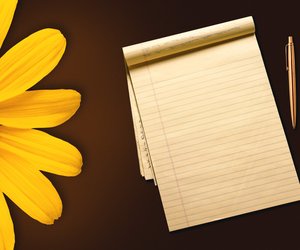 Auch nach der Schule noch relevant: Wofür gibt es auf liniertem Papier Ränder?