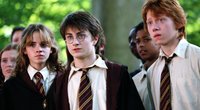 Dieses Puzzle ist das perfekte Geschenk für Harry-Potter-Fans