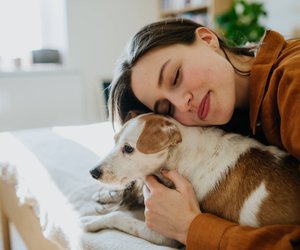 Von Spielzeug bis Futterspender: Die ultimativen Gadgets für Hundebesitzer