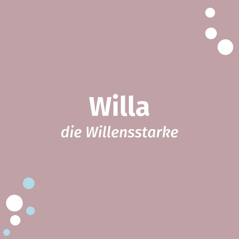 Willa