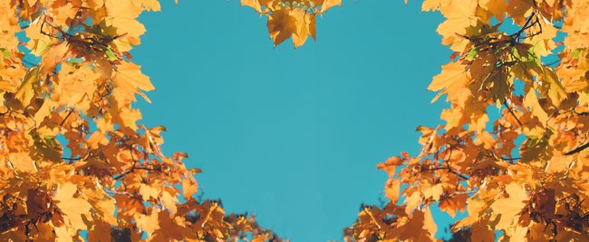 55 einzigartige Komplimente & schöne Sprüche zum Senden an deine Liebsten