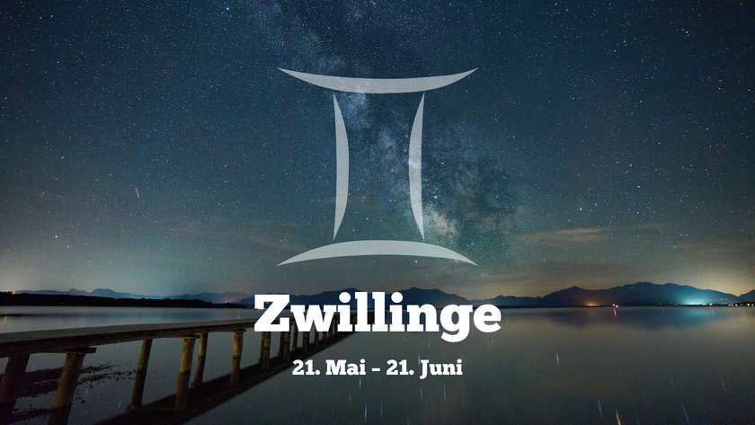 Zwillinge