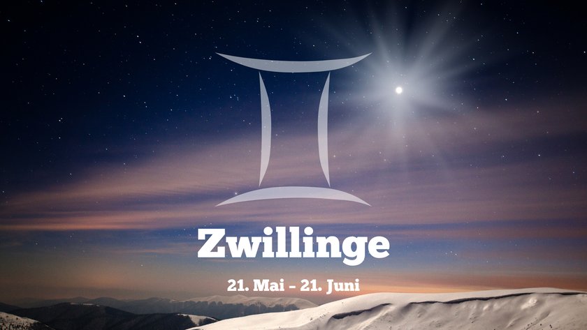 Zwillinge