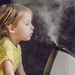 Luftbefeuchter-Test: Welche 5 Geräte wirklich gut sind