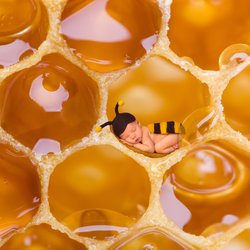 Ärzte warnen: Darum ist Honig für Babys ein No-Go