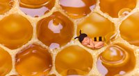 Honig für Babys: Warum ich meinem Baby auf keinen Fall Honig geben sollte