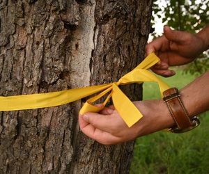 Das dürft ihr tun, wenn ihr ein gelbes Band an einem Baum entdeckt