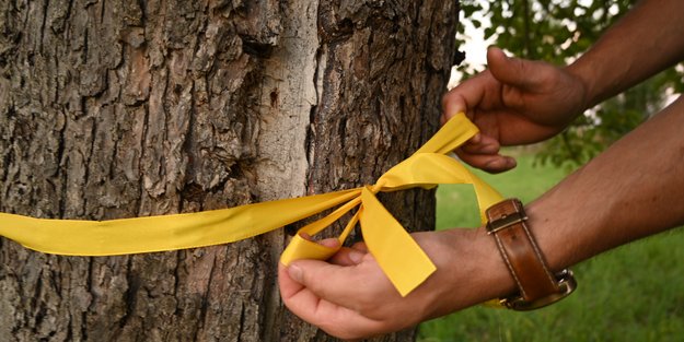 Das dürft ihr tun, wenn ihr jetzt im Herbst ein gelbes Band um einen Baum entdecken