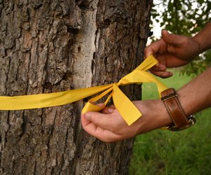 Das dürft ihr tun, wenn ihr ein gelbes Band an einem Baum entdeckt