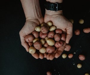 Kartoffeln richtig aufbewahren: So halten sie besonders lange
