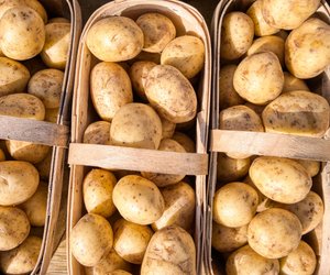 Kartoffeln einkochen: Tipps, um Kartoffeln haltbar zu machen
