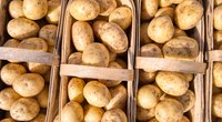 Kartoffeln einkochen: Tipps, um Kartoffeln haltbar zu machen