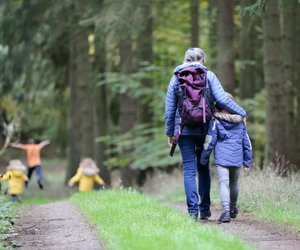 Eichelhäher oder Tannenhäher? Das ist der Unterschied zwischen den Vögeln