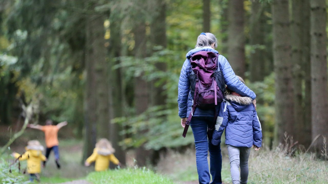 Ihr seid gerne draußen? So erkennt ihr Eichelhäher und Tannenhäher auf dem nächsten Waldspaziergang!