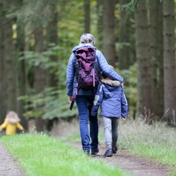 Eichelhäher oder Tannenhäher? Das ist der Unterschied zwischen den Vögeln