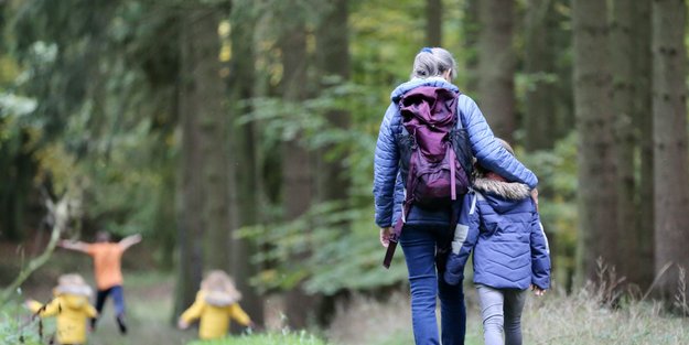 Eichelhäher oder Tannenhäher? Das ist der Unterschied zwischen den Vögeln