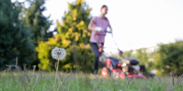 Garten-Freunde schnappen sich jetzt diesen beliebten Rasendünger bei Amazon zum Sparpreis