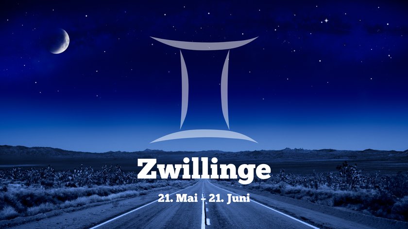 Zwillinge