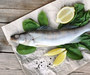 Seehecht & Schwangerschaft: Ist dieser Fisch empfehlenswert?