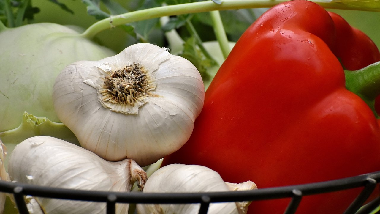 Paprika und Knoblauch gehören zu den Hauptzutaten von Ajvar.