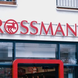 Rossmann-Geheimtipp: Mit diesem magnetischen Weltkartenpuzzle die Welt entdecken