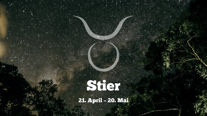 Stier